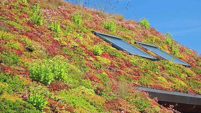 Duurzame daken